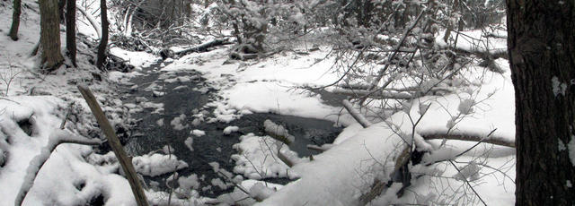 home_snow_creek002_mar032013