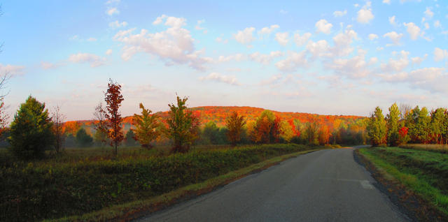 fall_leaves_hill_oct052012