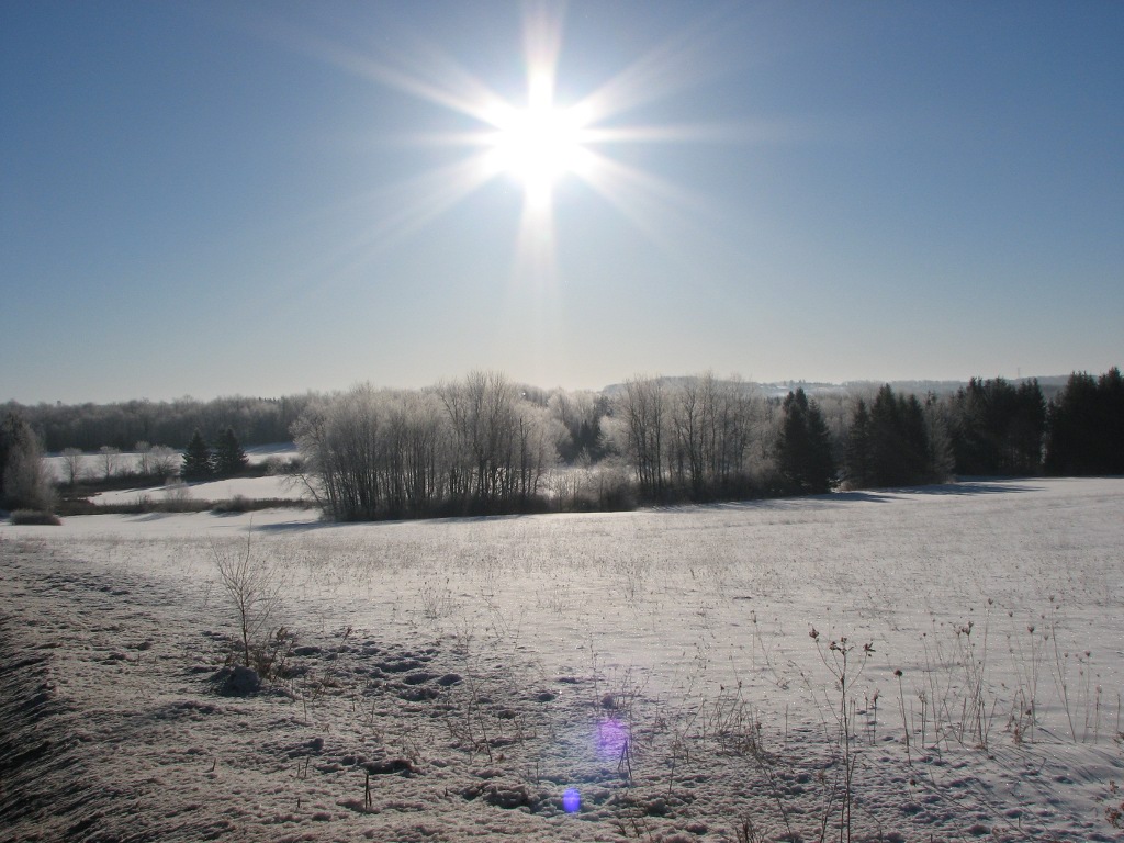 frosty_sun1