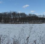 River Ice and a Train