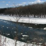 barton_ice_susquehanna_jan232011_04.jpg