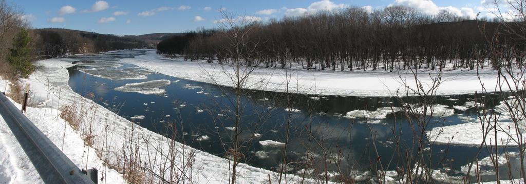 barton_ice_susquehanna_jan232011_04.jpg