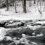 home_snow_creek001_mar032013