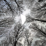 lookingup_mar032013