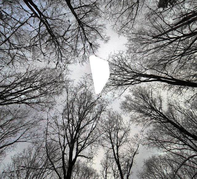 lookingup_mar032013