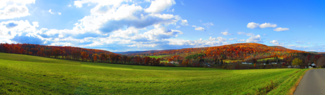 fall_leaves_hills001_oct202013